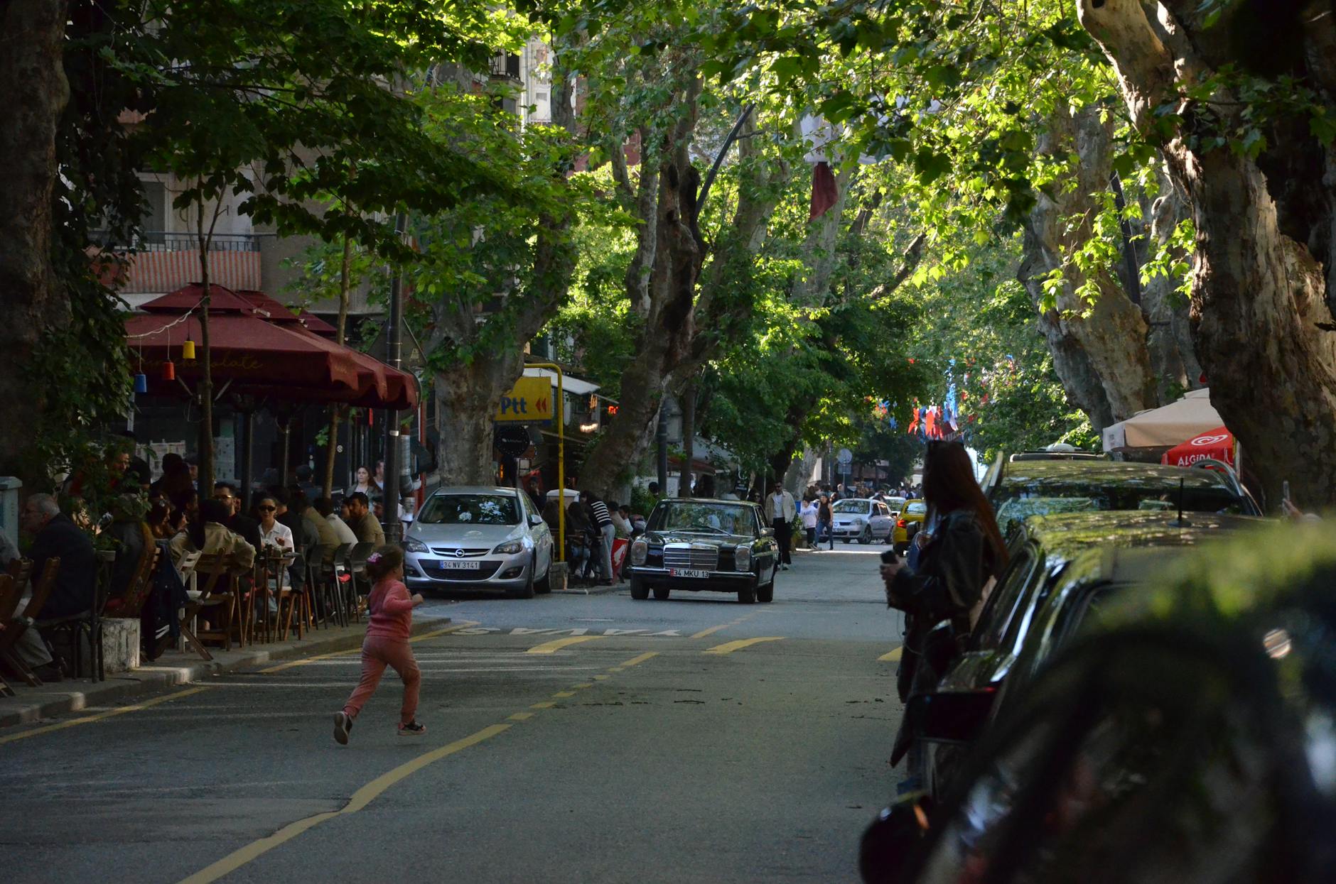 A scenic view of a tree-lined street in the Floral Park neighborhood of Santa Ana, showcasing classic Spanish Colonial Revival architecture.